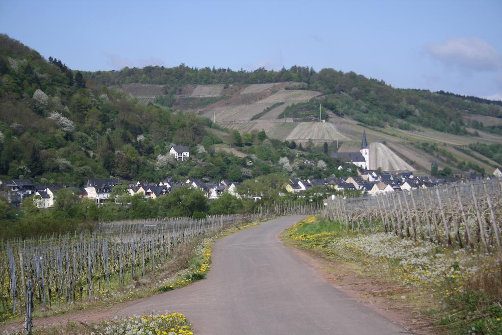 Weingut Goeres Hotel บรีเดล ภายนอก รูปภาพ