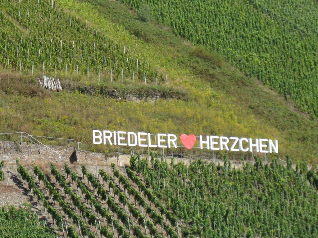 Weingut Goeres Hotel บรีเดล ห้อง รูปภาพ